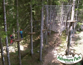  Plataformas en los árboles 